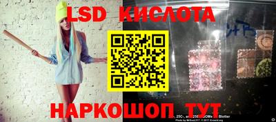 амф Гатчина