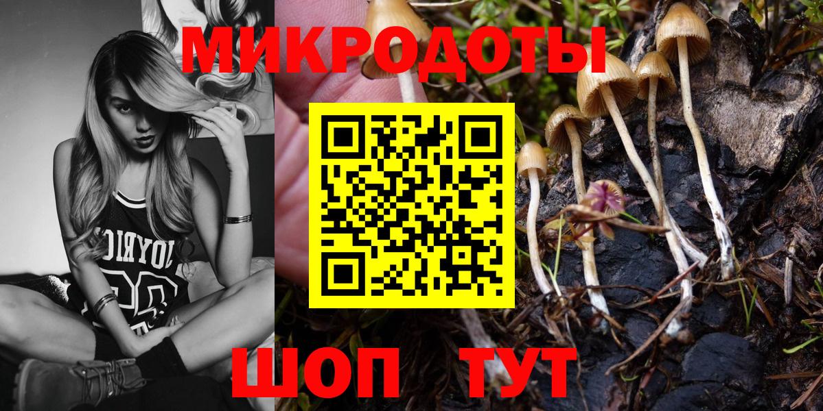 Галлюциногенные грибы Magic Shrooms Ртищево